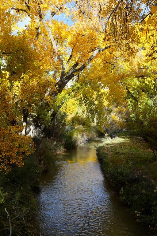 Canyon Of The Ancients Guest Ranch Cortez Exterior foto