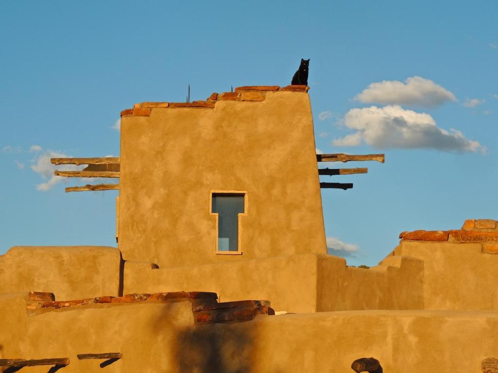 Canyon Of The Ancients Guest Ranch Cortez Exterior foto